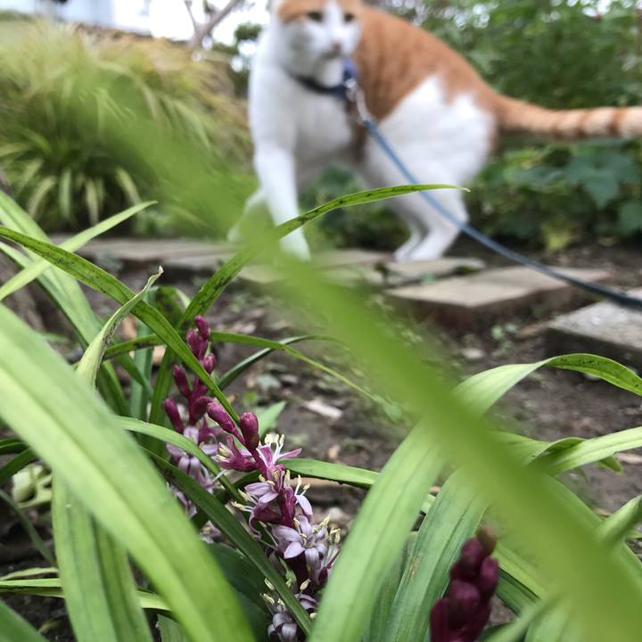 E6b60bd8 824a 4d11 8f22 afb9841860a4 1508921813916