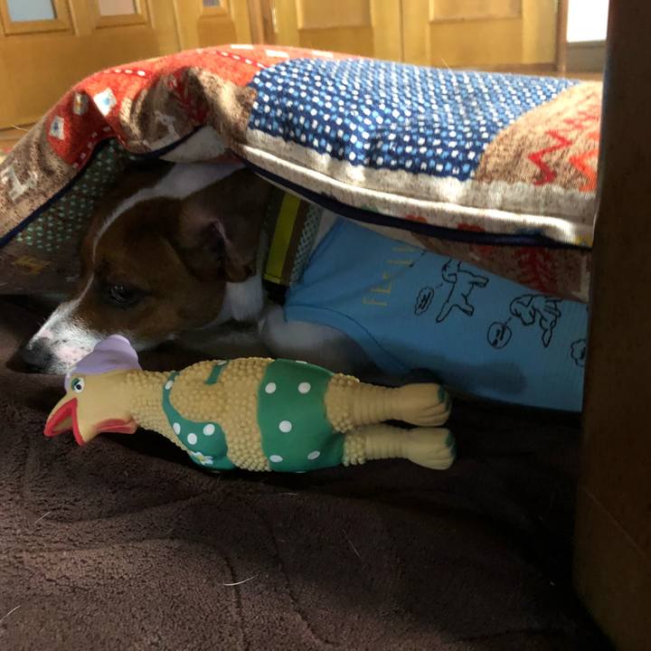 E6b620d5 fb1e 4f48 b9c8 6af7cb744e85 1529275547380