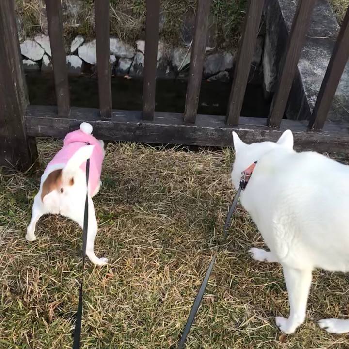 E6b6b240 240b 413e ae79 d0859b698232 1511672940330