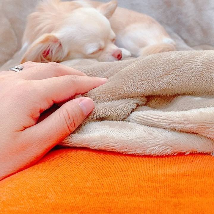 E6b6c9c3 07ec 48d6 b789 0a4938e4a030 1635461927152