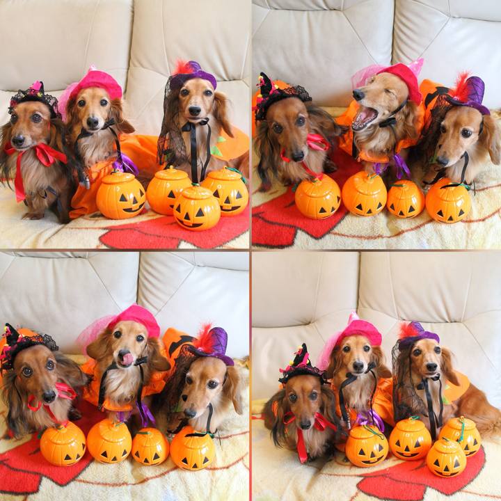 E6b6f72f 98bb 440e a491 80cea71dcb26 1761912850029