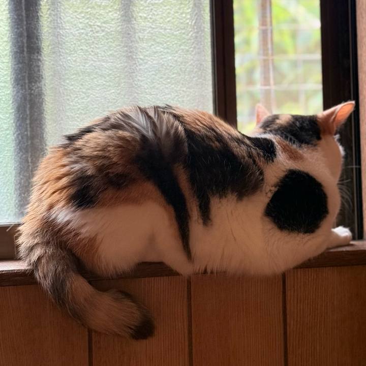 E6b71f23 c4d5 40ff 9faf 39aa2adda940 1750045164883