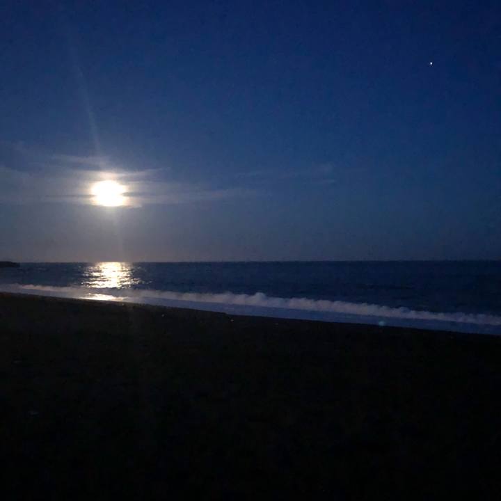 E6b724b1 15c9 4a18 b172 18ba13c9ff26 1535284770603