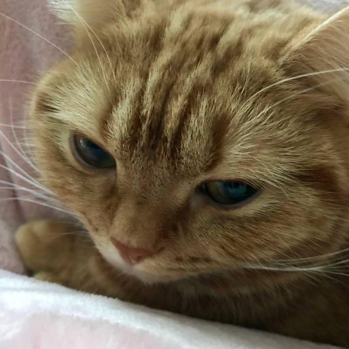 E6b73b31 7bc3 4a6d a0cc 8403c254ba73 1514619620758