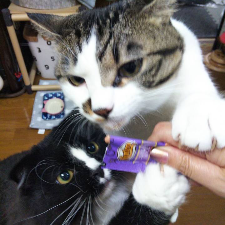 E6b74e97 d8dc 4ef0 9aca e779337c90ad 1658838370009