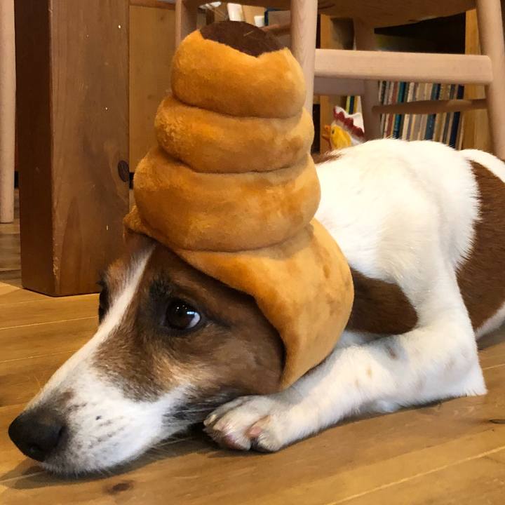 E6b750d4 6534 4751 9fd7 3a4b84e437b0 1527772263359