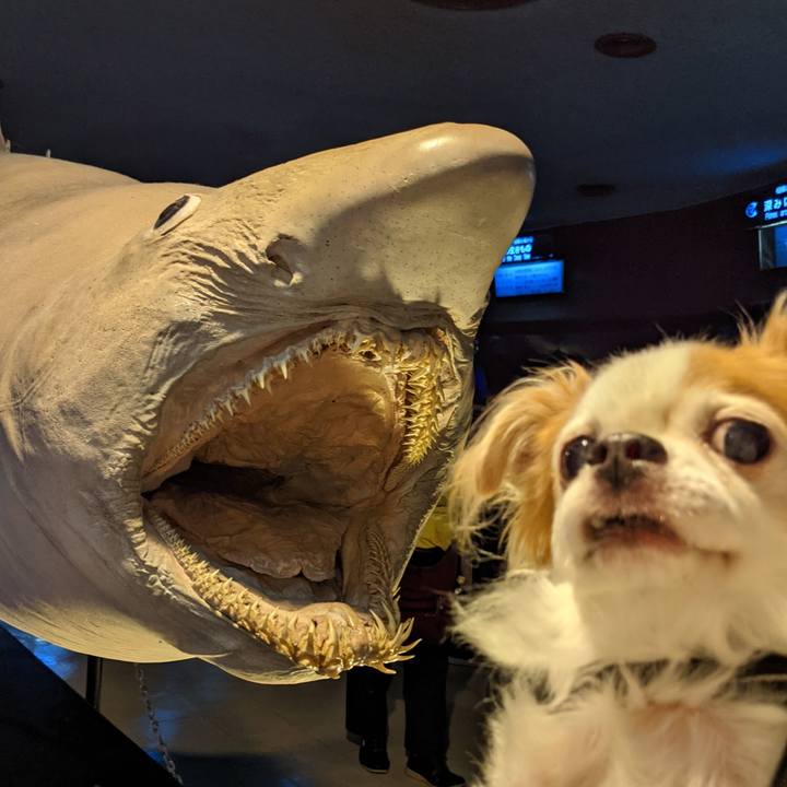 E6b75269 6233 4502 99c5 e6437f1692ac 1632445630863