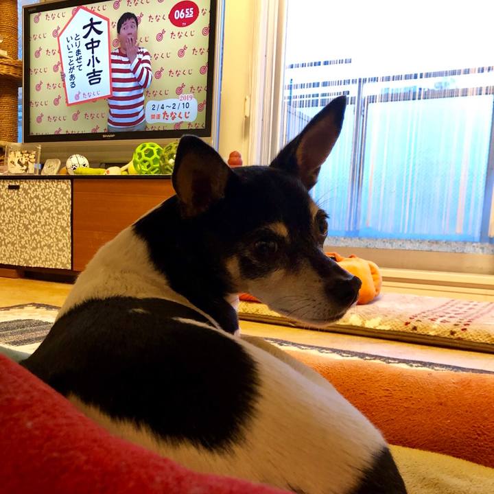 E6b781f1 b1f6 4382 b50d d240412bfbf7 1549231408362