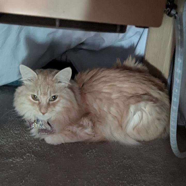 E6b793aa 7536 42b5 be75 b59695632068 1766024926648