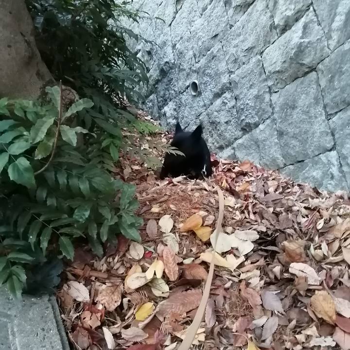 E6b7cd45 c7d1 43d3 bbdf d226fca66703 1608761390702