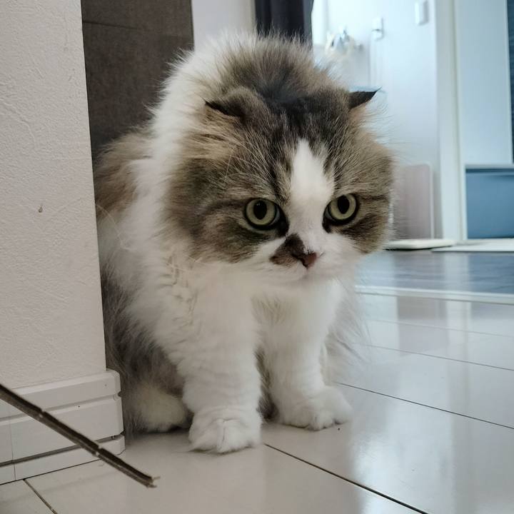 E6b7d73f fb57 4eff ae52 02a3417eff43 1773113519606