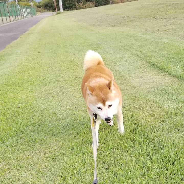 E6b7e336 8190 49b2 a676 25a8c4b4198c 1632466856676