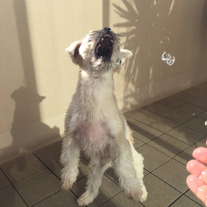 E6b7e591 8378 4b73 b49f 0a07fa9a9af8 1543117596455