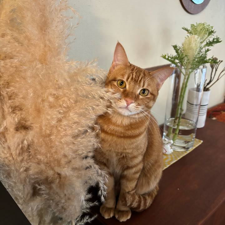 E6b7ff7d 39c3 4178 bfe0 36b1a99efba0 1706247974360