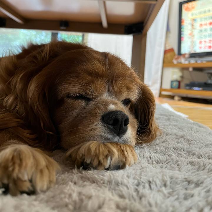 E6b80b68 9c3e 490e b74b c2e5dbfa4e96 1730241038420