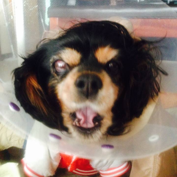 E6b83f06 3adb 4ea0 a729 6a92be36b6e0 1610368752299