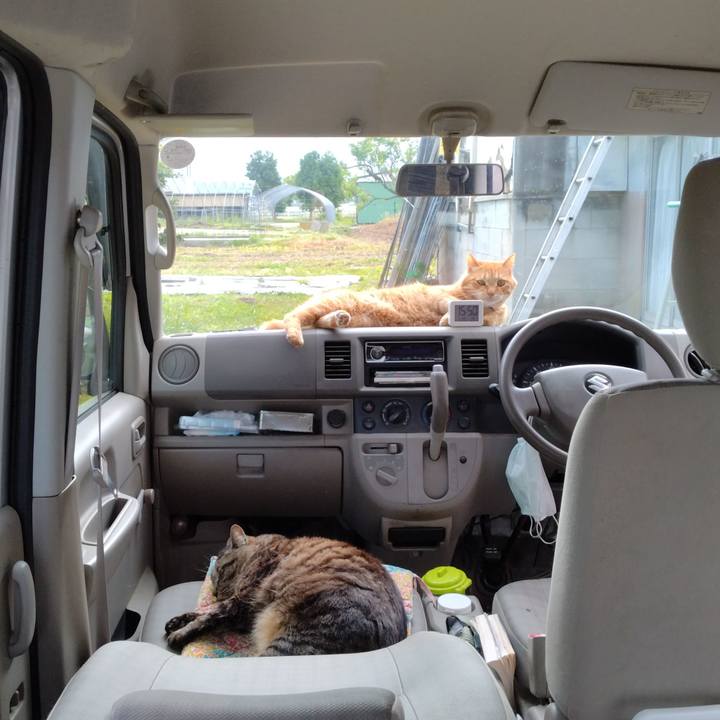 E6b84f63 d7f3 42f3 a14a d502e500a69f 1716972812210