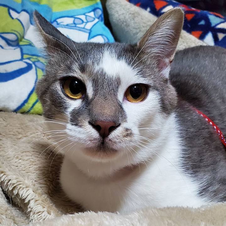 E6b85e6b 0f3a 48c9 915a c148821ac0ea 1684288989042