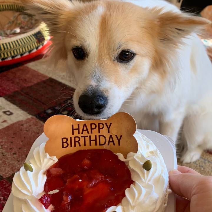 E6b85f7b e3cb 4839 8839 d523339751db 1552290320218