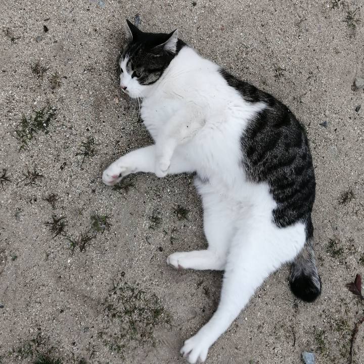 E6b88fa5 b57c 4771 a669 191ea8d12eb9 1610349031174