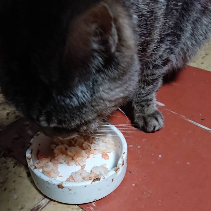 E6b8c25b 584f 4538 ad6b e1d24686ed58 1584999511841