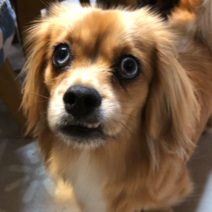 E6b90fb2 51f9 41a3 a493 e1043edf16a2 1527026476965