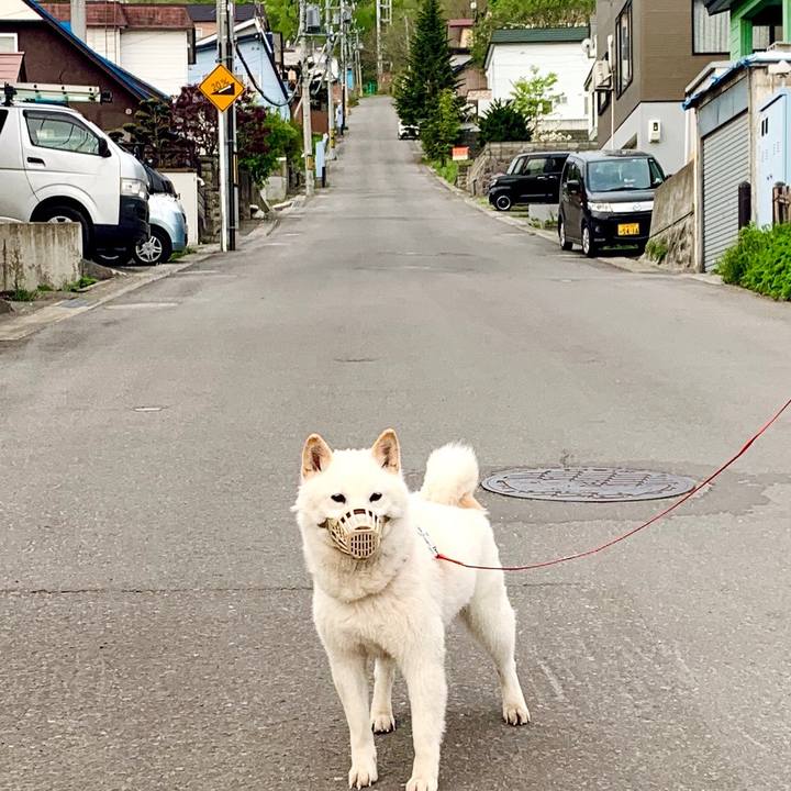 E6b92fd3 022a 4cc5 940d 2908afc1b0ad 1589577941163