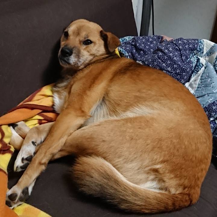 E6b96dfa 0e66 4c21 bf0e dba6816e7775 1611151269178