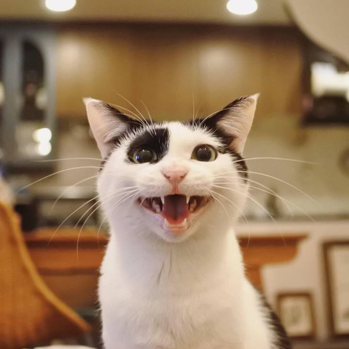 E6b9988b bfbb 48c3 ae27 0d5f61a7be22 1541322094075