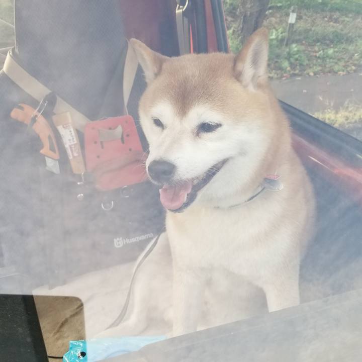 E6b9b5ed 989d 42ac 9be8 041f1b6a7050 1601452058943