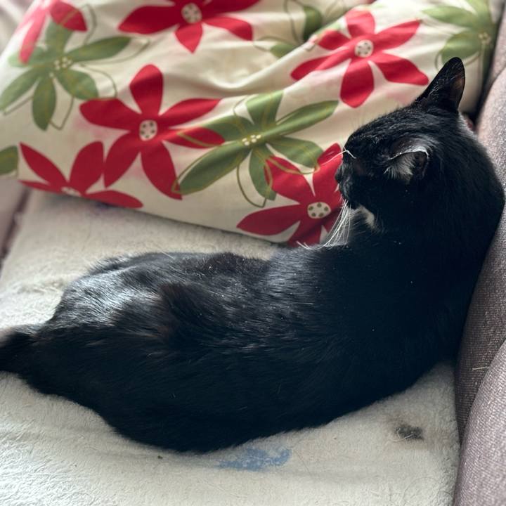 E6b9c964 1972 4e11 a9b5 43f672e2c3dd 1763686664342