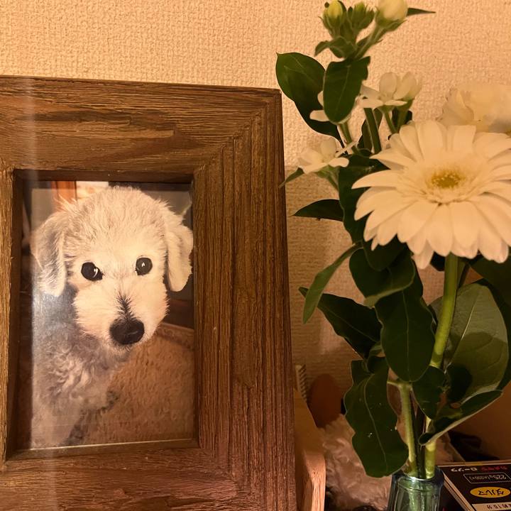 E6b9ea25 09fa 4dc6 bf62 c8f090406fe8 1733405969001