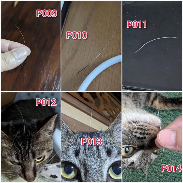 E6b9ed72 18bb 4ded bf7a 8d7c42aa7698 1721191372157