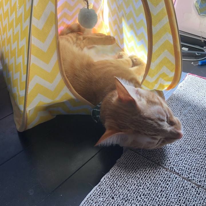 E6b9f363 220f 45aa 90ee 8448b9821cff 1633667565709