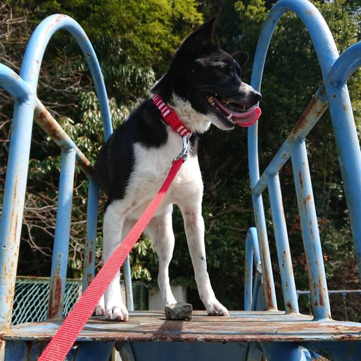 E6ba2d4f 948b 4297 8320 9ac7fb3f1a16 1522058021686