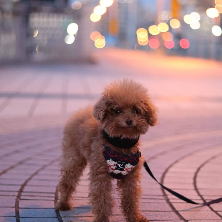 E6ba3ee3 1def 4595 a1d1 0cb97f013bf1 1552342638469