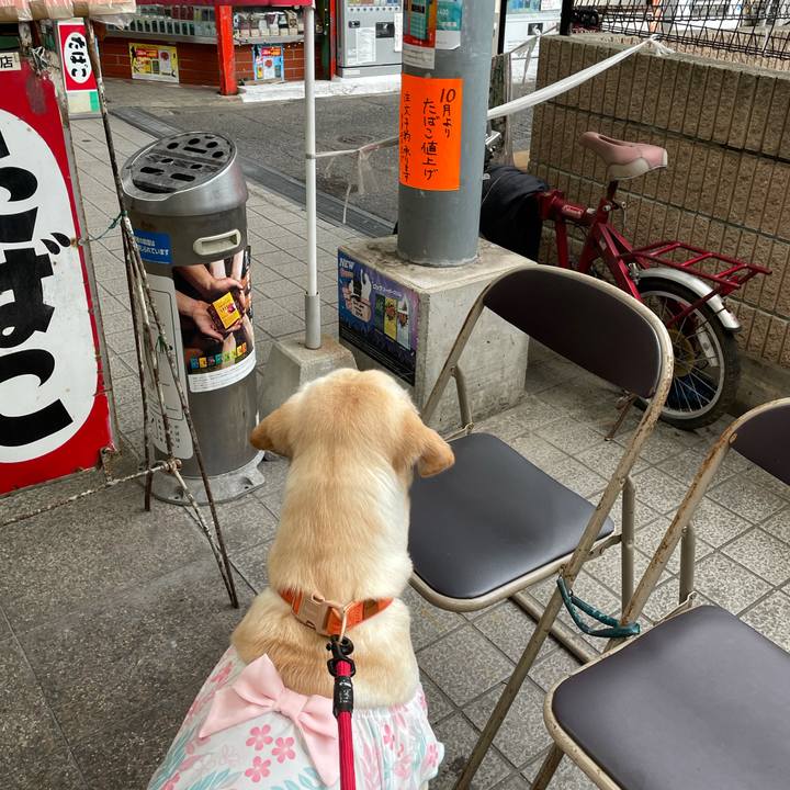 E6ba42d7 8cd7 4804 9eed 29277033ab6f 1632473985924