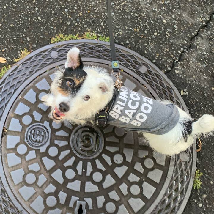 E6baa240 a486 4ab7 8f32 feb43aa75a9c 1655019838588