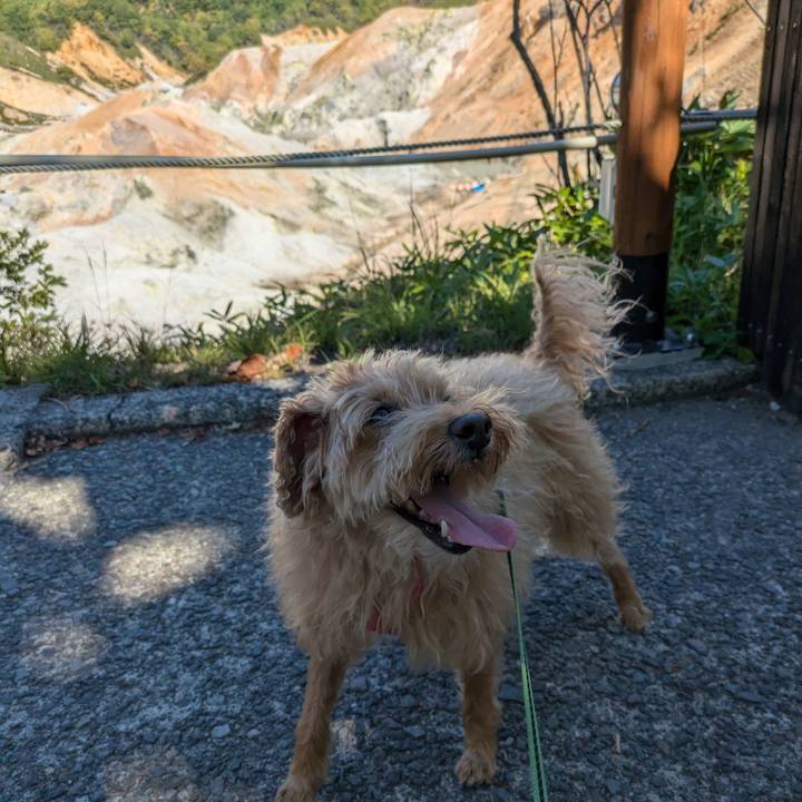 E6baac9d 2334 426b bafd 0ef5d0a67cc6 1725878419268