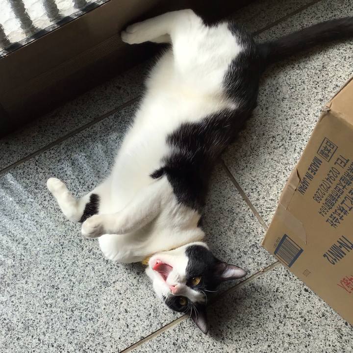 E6bab6ce 5836 445b 9563 1f7aa6782c20 1647484108026