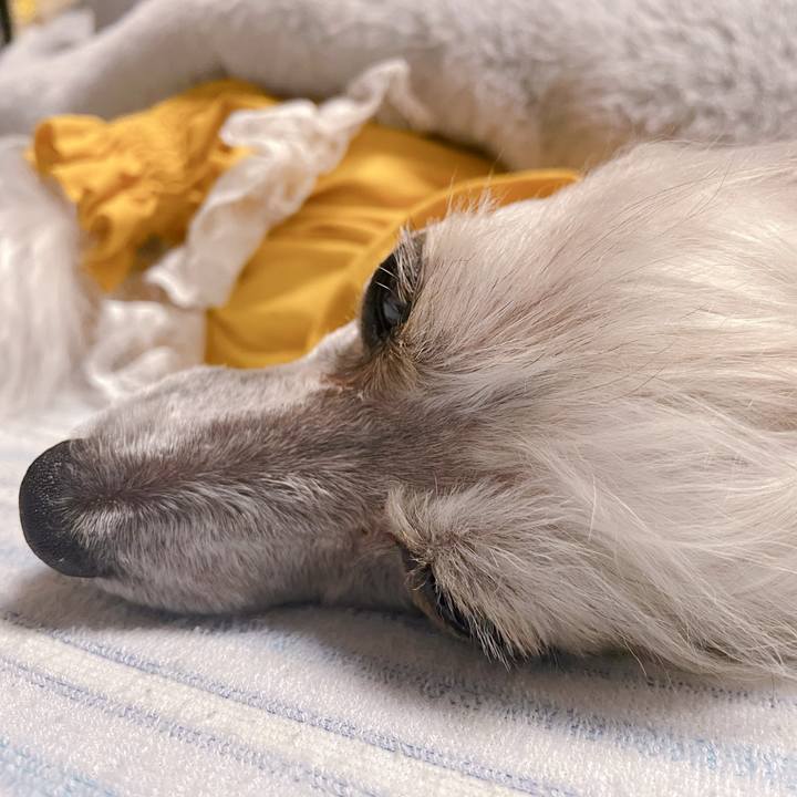 E6bac858 6a7b 4448 833a 07669fc9f9cf 1759724475601