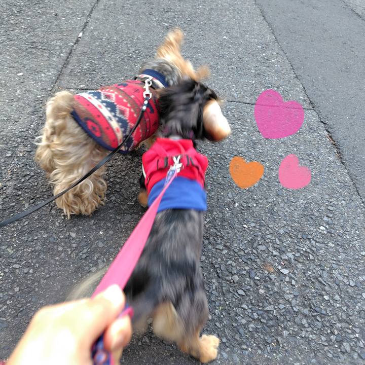 E6bacee2 a4aa 4fb3 8e7d 55015e8eca9c 1729554803612