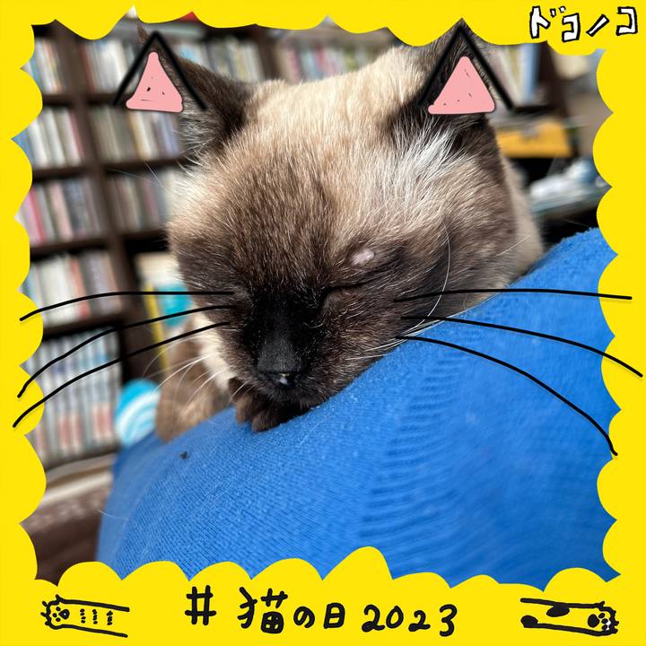 E6baefd7 9459 4404 8135 70c357134efa 1677033905193