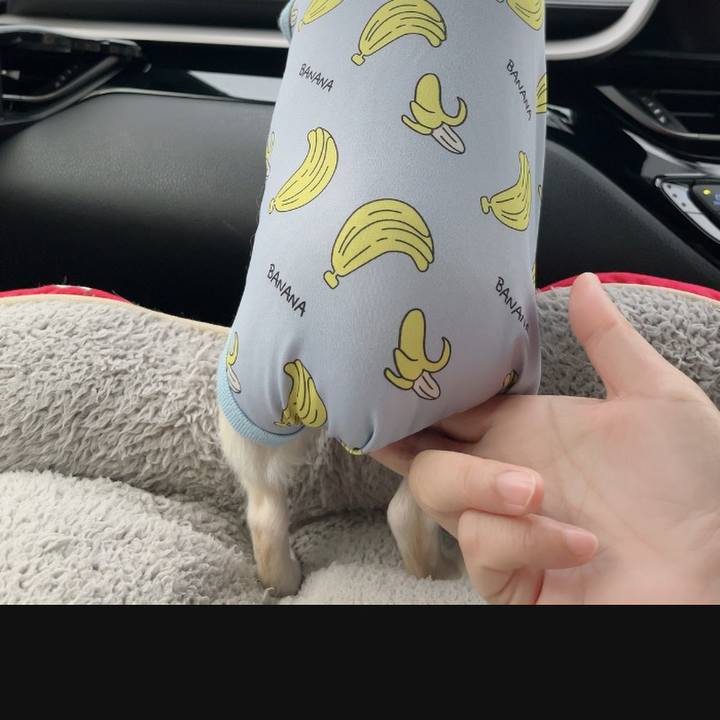 E6baf6be 5940 4ad1 8eb5 930ca8506228 1722085673260