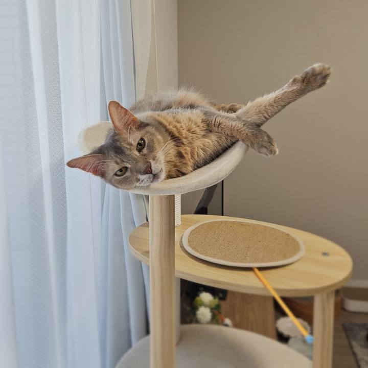 E6baff4e 3d37 4324 9033 2c53cfb507f0 1763701412019