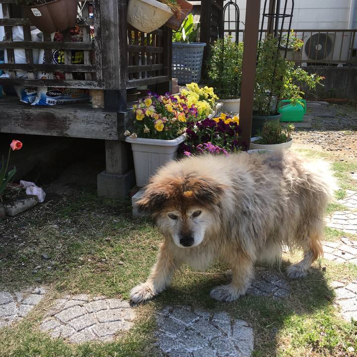 E6bb01d3 c313 4021 aa11 7c1a0d0a2f77 1647315000344