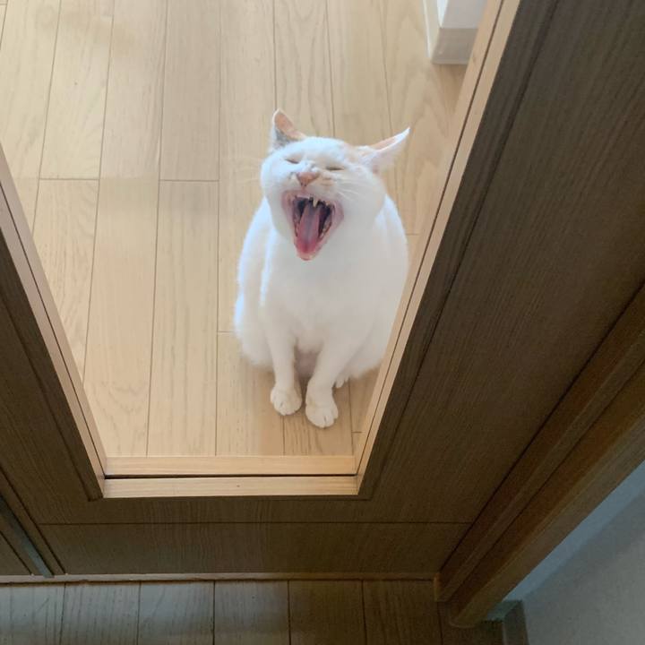 E6bb32fe 867d 4d50 b89d c7596ccdd4d1 1617334081869