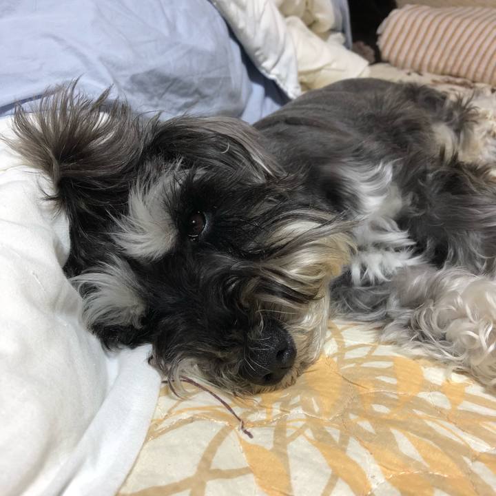 E6bb35ef 50a2 45fc 8a42 b0828d6fc744 1528036860845