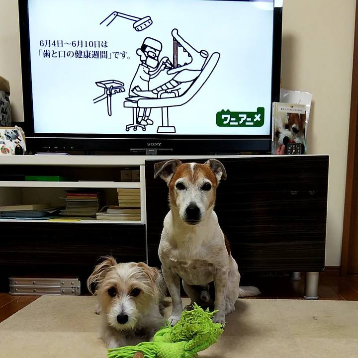 E6bb3aa5 caa1 458d a31a 838d27eddc67 1559599623908