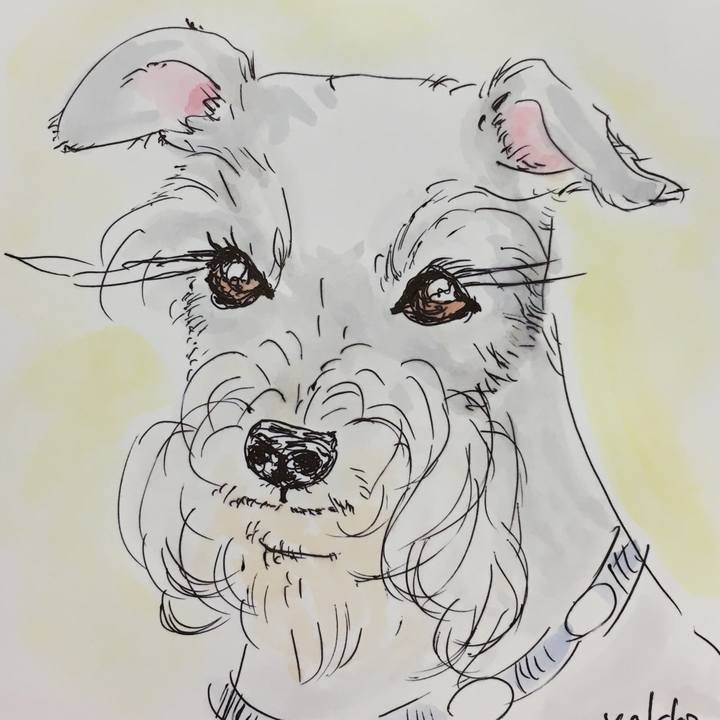 E6bb687a 97d1 44cb 89ab fc145e292556 1561876114052